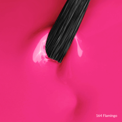 164 Flamingo