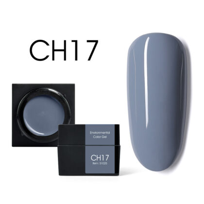 CH17.jpg