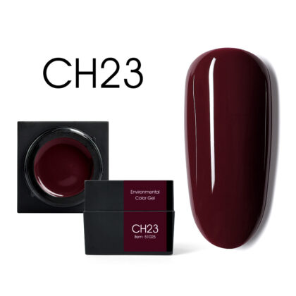 CH23.jpg