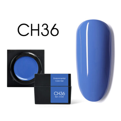 CH36.jpg
