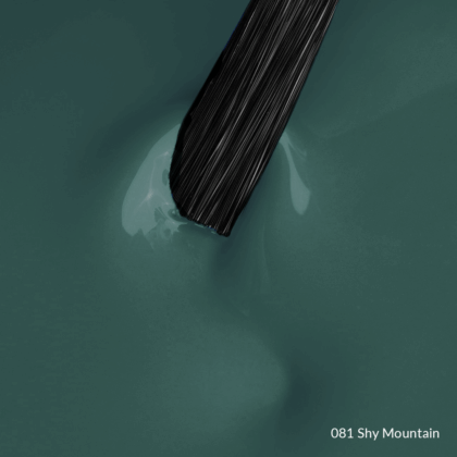 081 Shy Mountain